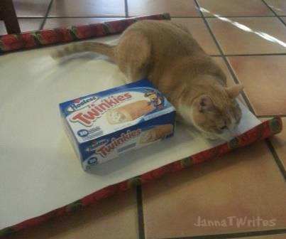 How do you wrap a cat?  Um, you don't!